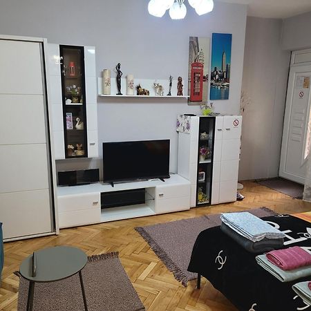 Apartman "Garden" Nowy Sad Zewnętrze zdjęcie