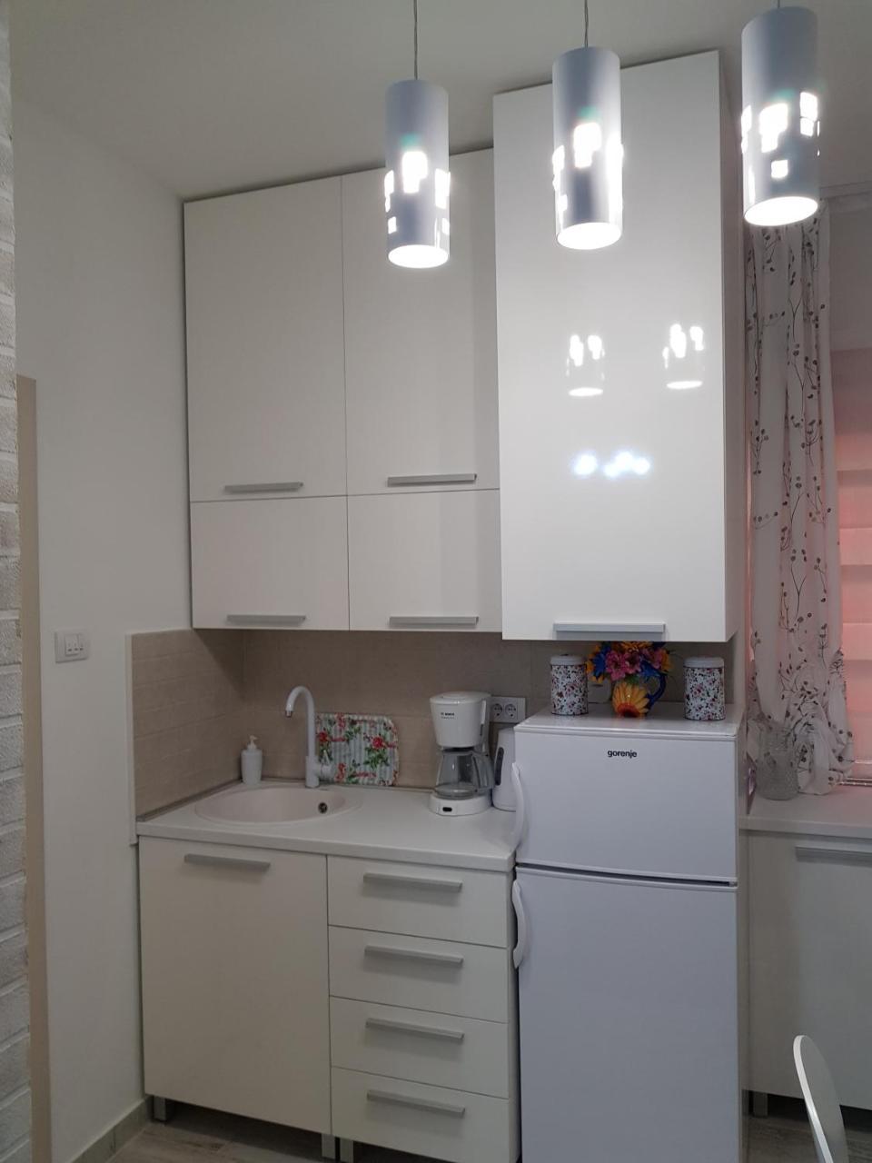 Apartman "Garden" Nowy Sad Zewnętrze zdjęcie