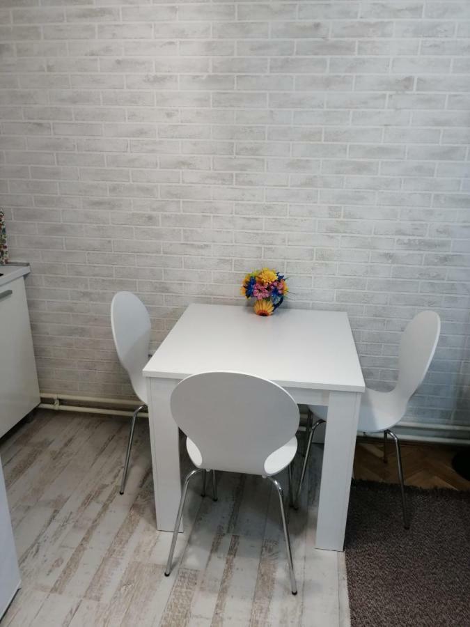 Apartman "Garden" Nowy Sad Zewnętrze zdjęcie