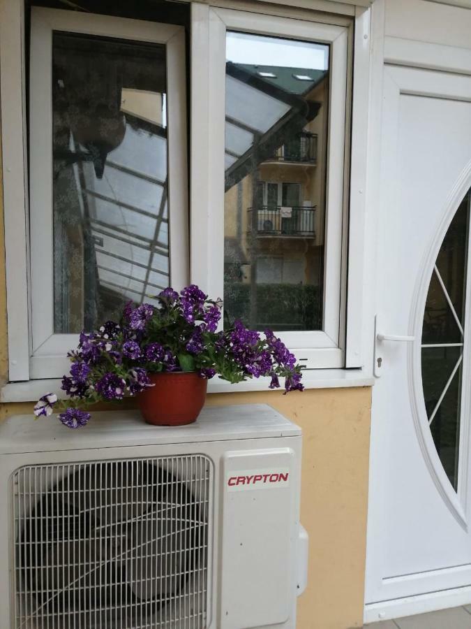 Apartman "Garden" Nowy Sad Zewnętrze zdjęcie