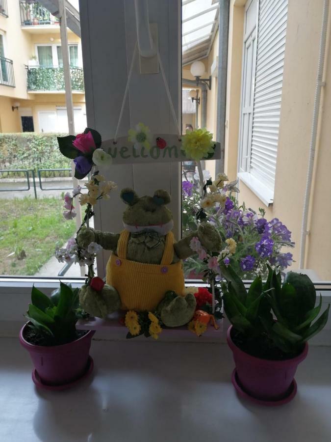 Apartman "Garden" Nowy Sad Zewnętrze zdjęcie